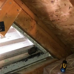 AAAC Wildlife Removal of Milwaukee - Bat Exclusion Milwaukee