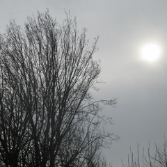 hazy sky