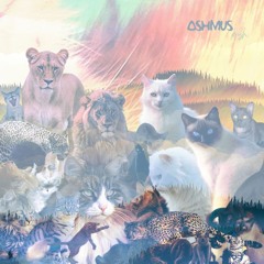 ASHMUS - It Feels Like Heaven (飛ぶ - Part II)