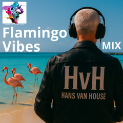 Flamingo Vibes Mix – HvH (Hans van House/ Flamigo Events)