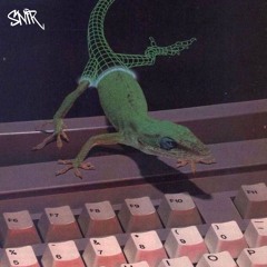 SNIR_HARDTECHNO/PSYTRANCE_0625