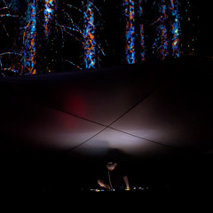Esaunue - MOX'25 takeover - Lost in the woods