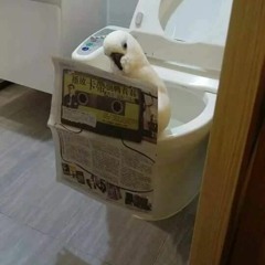 0191 - About Facetious - 1