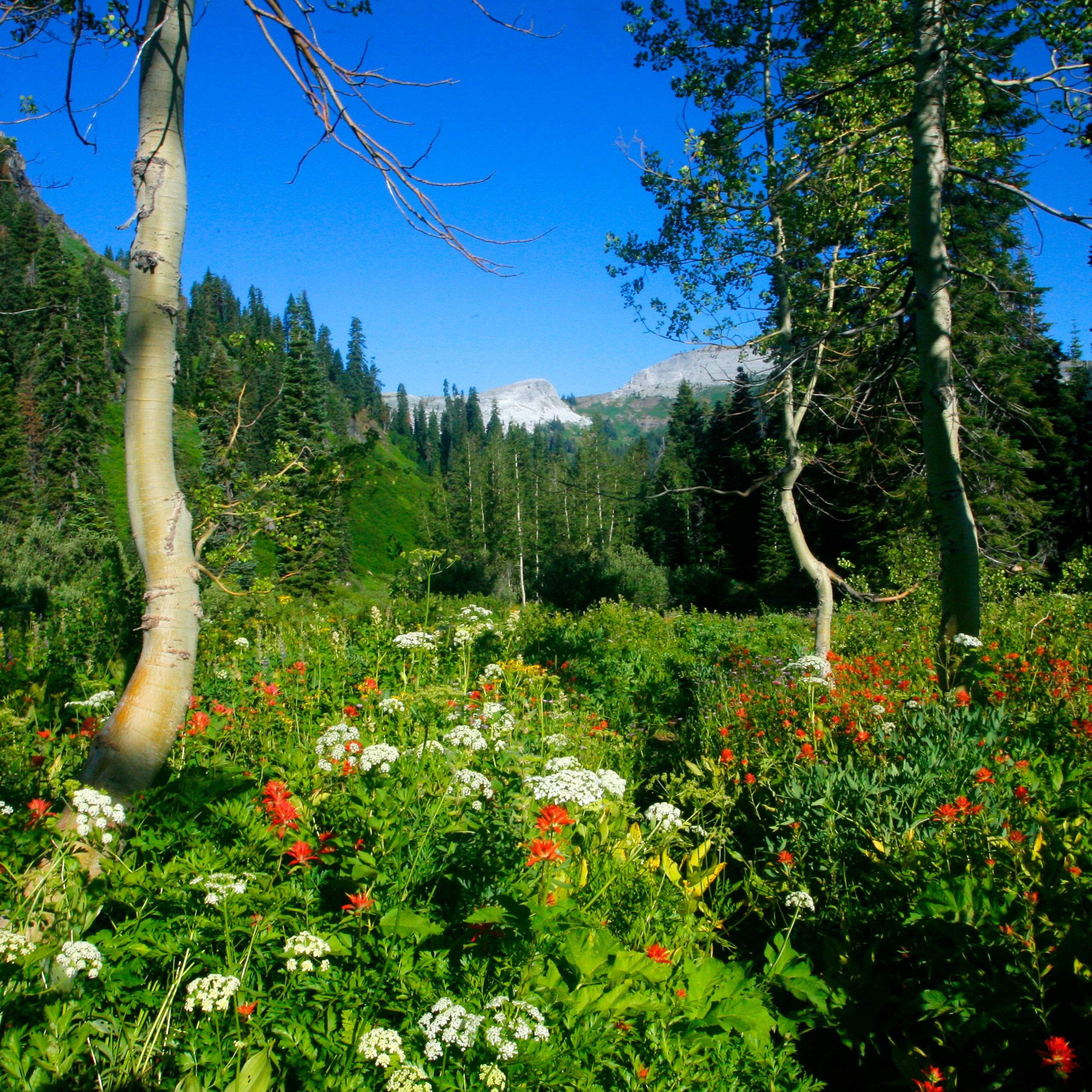 Explore Oregon Podcast: The state\'s most beautiful places and biggest issues