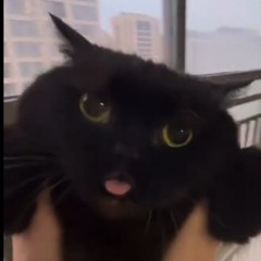 ALxNE22 - Если б я был бы машиной может меня бы любили