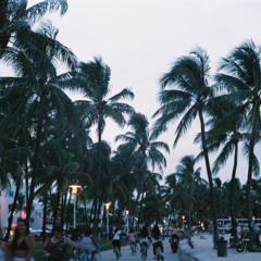 miami (yk + cxsket + maddmaks)