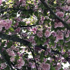 House Sessions - Spring 2021