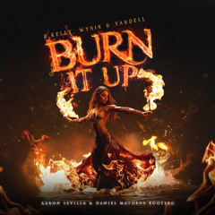 Burn it Up (Aaron Sevilla, Daniel Matheus Bootleg) FREE DOWNLOAD