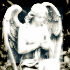 Die Young