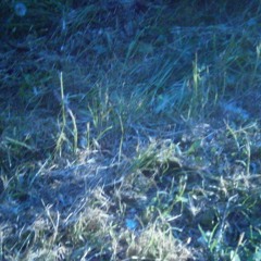 EL CORAZON DE HE1NKN (bebiendo Lagrimas + si tu no estas) !!