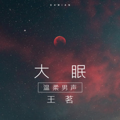 大眠 (Cover：王心凌)
