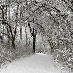 Flu (Sped Up) (Prod. prod.a1red)