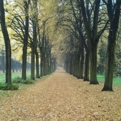 Last Leaves Falling (feat. Fr. Harris)