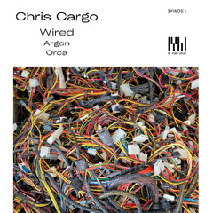 Chris Cargo - Orca [If You Wait]