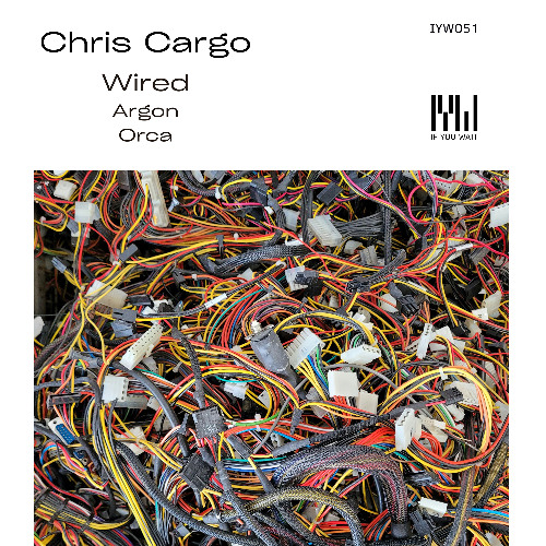 Chris Cargo - Orca [If You Wait]