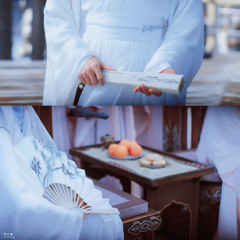 Tửu Gia 酒家 - Tân Văn 辛雯