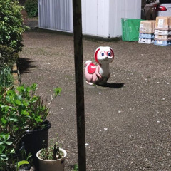 現実なるもの