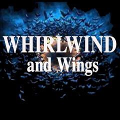 Whirlwind and Wings