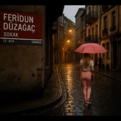 Feridun Düzağaç Ft Aleyna Tilki - Düşler Sokağı