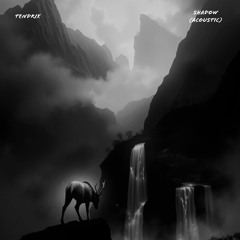 Tendrix - Shadow (Acoustic)