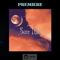 PREMIERE: Brisboys - No Drama (Original Mix) MDL