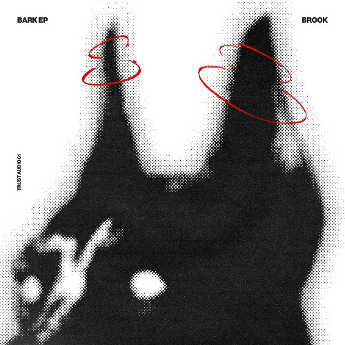 Brook 'Run Riddum' [Trust Audio]