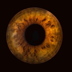 HypnoticGrooveShit 02.07.23