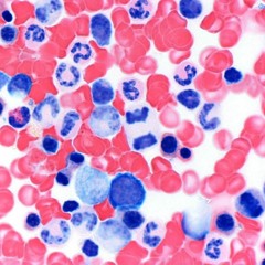 VIERKANT 2020 [shortlist]