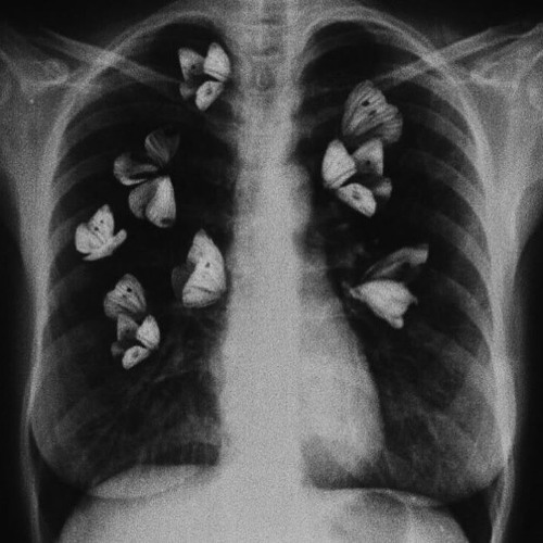 CXNSPIRACY - BUTTERFLY EFFECT