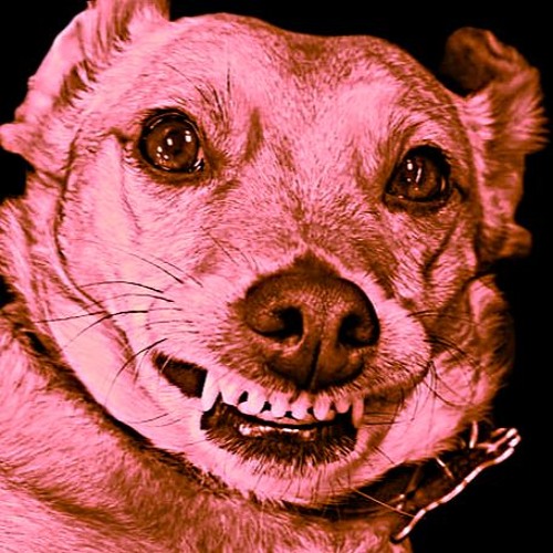 ALVKING VS ALVKING (Chop BLACKLIGHT )