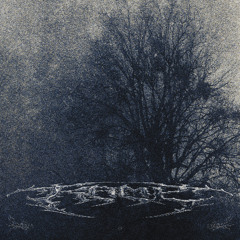 KAMP