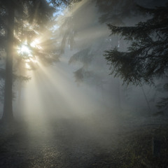 prayer