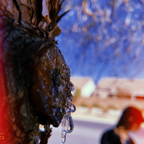 Wait Void x Au$tin x Severed