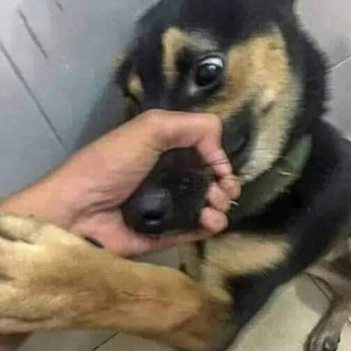 Chạm đáy nỗi đau  =))))