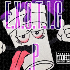 E.X.O.T.I.C.  .P  ft. (nolimithayden)