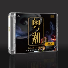 兄弟想你了 (DJ大金版)