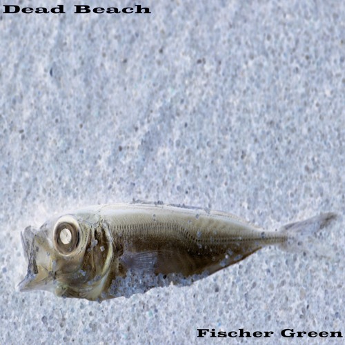 Dead Beach