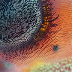 Biocybernetics .:. 22 w/ brad alloc