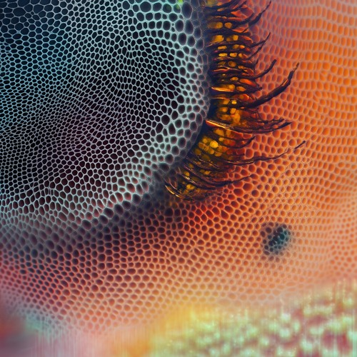 Biocybernetics .:. 22 w/ brad alloc