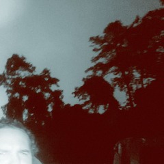 lana' video games cover by mark rendon