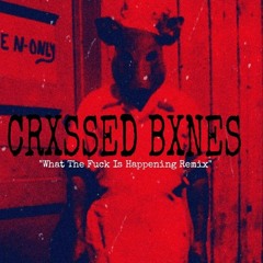 "CRXSSED BXNES" (What the Fuck Is Happening) REMIX