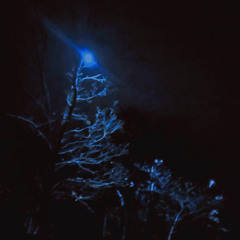 You Can See The Stars
