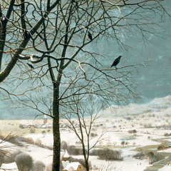 Branches Against a Pale Sky