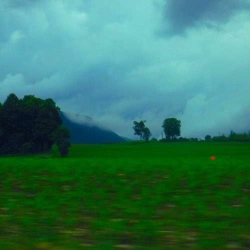 I Still Think About You