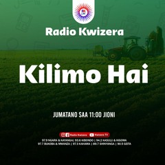KILIMO HAI MARCH 15, 2023
