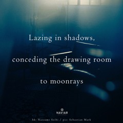 Audio Obscura - Lazing In Shadows (Naviar Haiku #504)