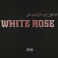 WHITE ROSE