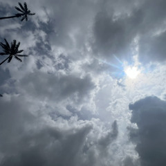 IN THE CLOUDS