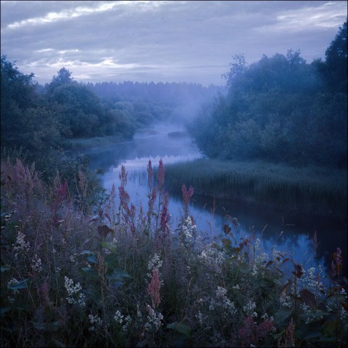 Stream Хамелеон by Лус Киндер | Listen online for free on SoundCloud