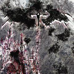 engravings (wraithontheporch)